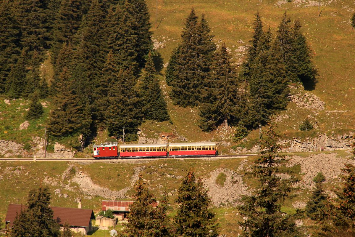 Schynige Platte Bahn: Lok 14 mit den historischen Wagen 24 und 23 im Abstieg von der Schynigen Platte, 3.September 2016. 