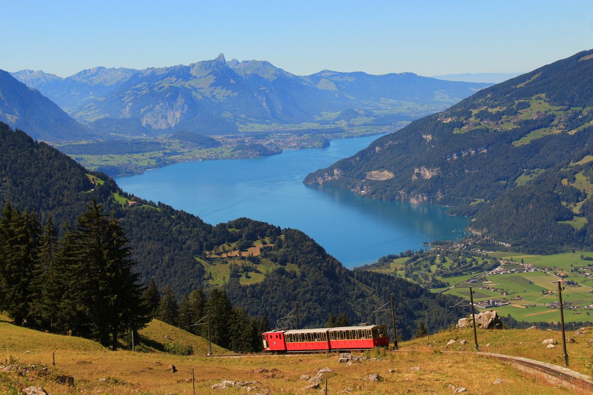 Schynige Platte Bahn: Zug mit Lok 16 und den Wagen 49 und 50 im Aufstieg oberhalb Breitlauenen, mit Blick auf den Thunersee. 23.August 2016. 