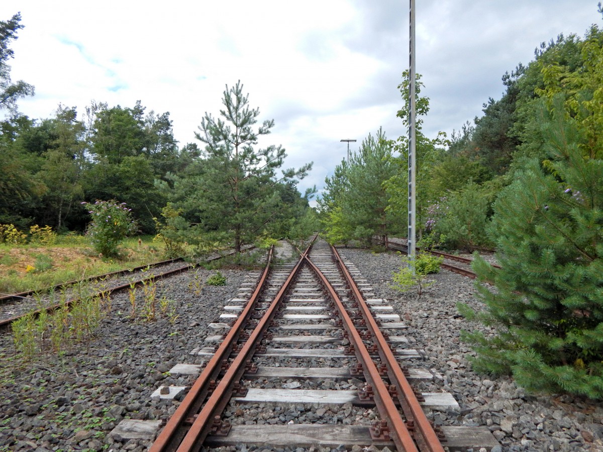 Seit 11 Jahren stillgelegt und trotzdem nur wenig bewachsen. Der alte NATO Umschlagplatz der belgischen Armee war von den 50er Jahren bis 2004 in Betrieb. Hier wurden die Weichen alle per Hand gestellt. Gelände ist öffentlich zugänglich.

Rösrath 15.08.2015