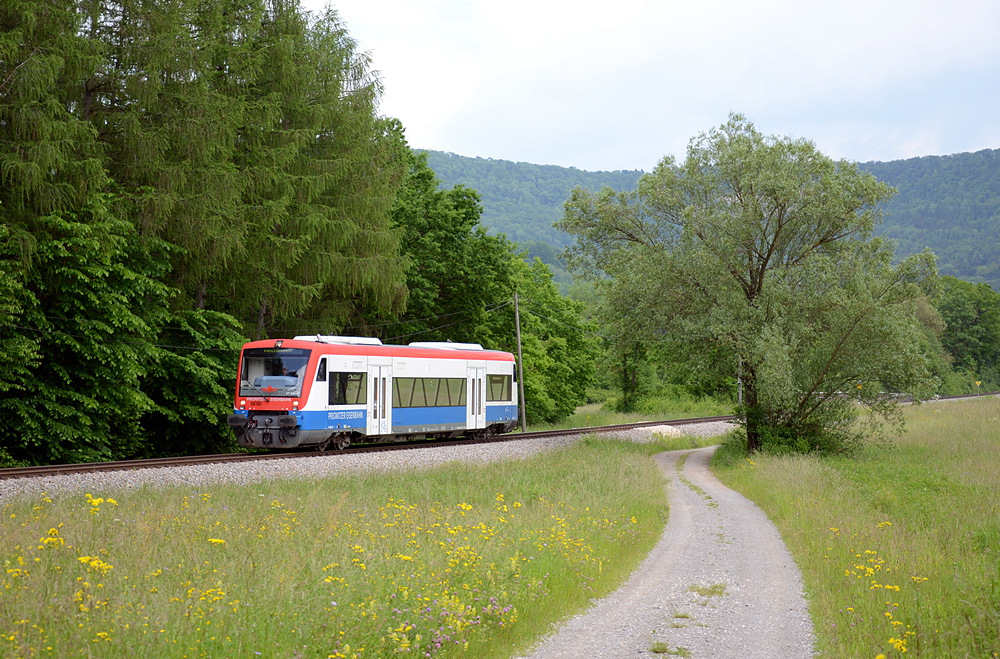 Seit Anfang 2013 weilen zwei Regioshuttle der PEG bei der HzL. Hier ist VT 650.01 am 12. Juni 2013 bei Schlatt unterwegs nach Hechingen.
