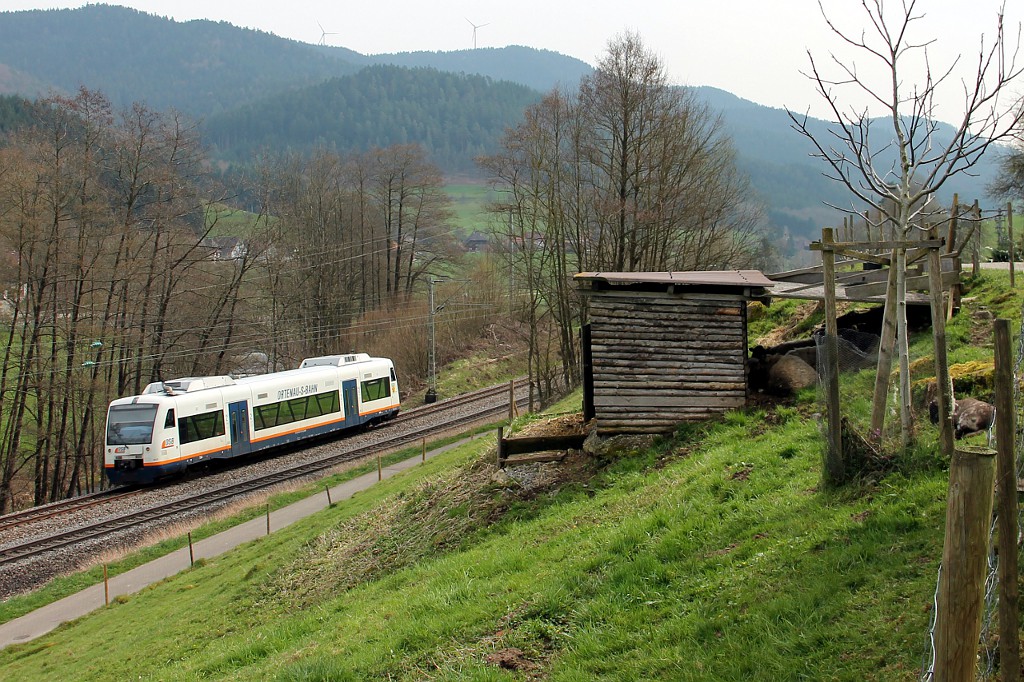Seit dem 20. März fährt wieder regelmäßig der Hornberg - Pendel, an diesem Tag hatte VT 517  Steinach  das Vergnügen, die Fahrgäste zwischen Hausach und Hornberg hin- und her zu fahren.

Hier der VT als SWE 87396 kurz vor der Gutacher Rodelbahn am 02.04.2016