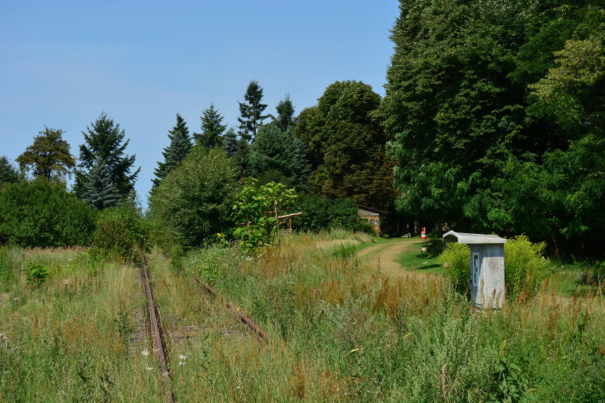 Seit dem 31.12.1998 ist hier kein Zug mehr gefahren und die Streckeverwächst langsam.
Blick auf den ehemaligen Haltepunkt Dahnsdorf Richtung Bad Belzig.

Dahnsdorf 01.08.2017 