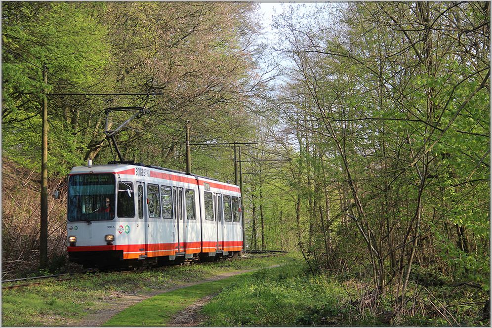 Seit Dezember 2019 Geschichte ist der eingleisige Überlandabschnitt der Linie 310 (Höntrop-Bochum-Heven) durch diesen Wald, nahe der Haltestelle Papenholz. Denn zurzeit wird an einer Neubaustrecke gebaut und die Linie 310 bald eine neue, städtischere Streckenführung bekommen. 
April 2019