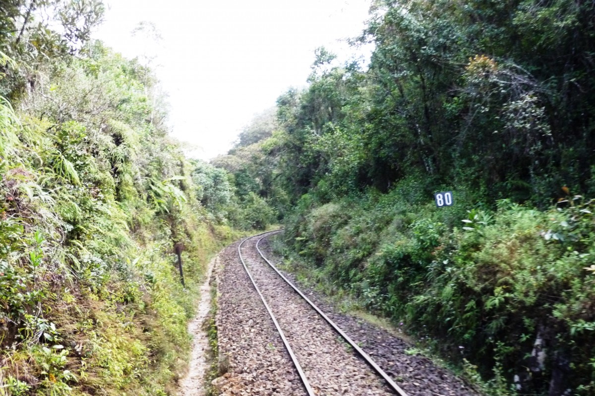 Seit der Erbauung der Eisenbahn von Fianarantsoa nach Manakara Mitte der 30er-Jahre wurde nur ein sehr kleiner Teil des Streckengleises erneuert. Ansonsten wurde die Strecke im Wesentlichen nicht verndert -und ist sogar in verhltnismig gutem Zustand, im Vergleich zu anderen Drittweltlndern. 80 km von Fianarantsoa entfernt bereits im tiefsten Dschungel, 03.09.2009