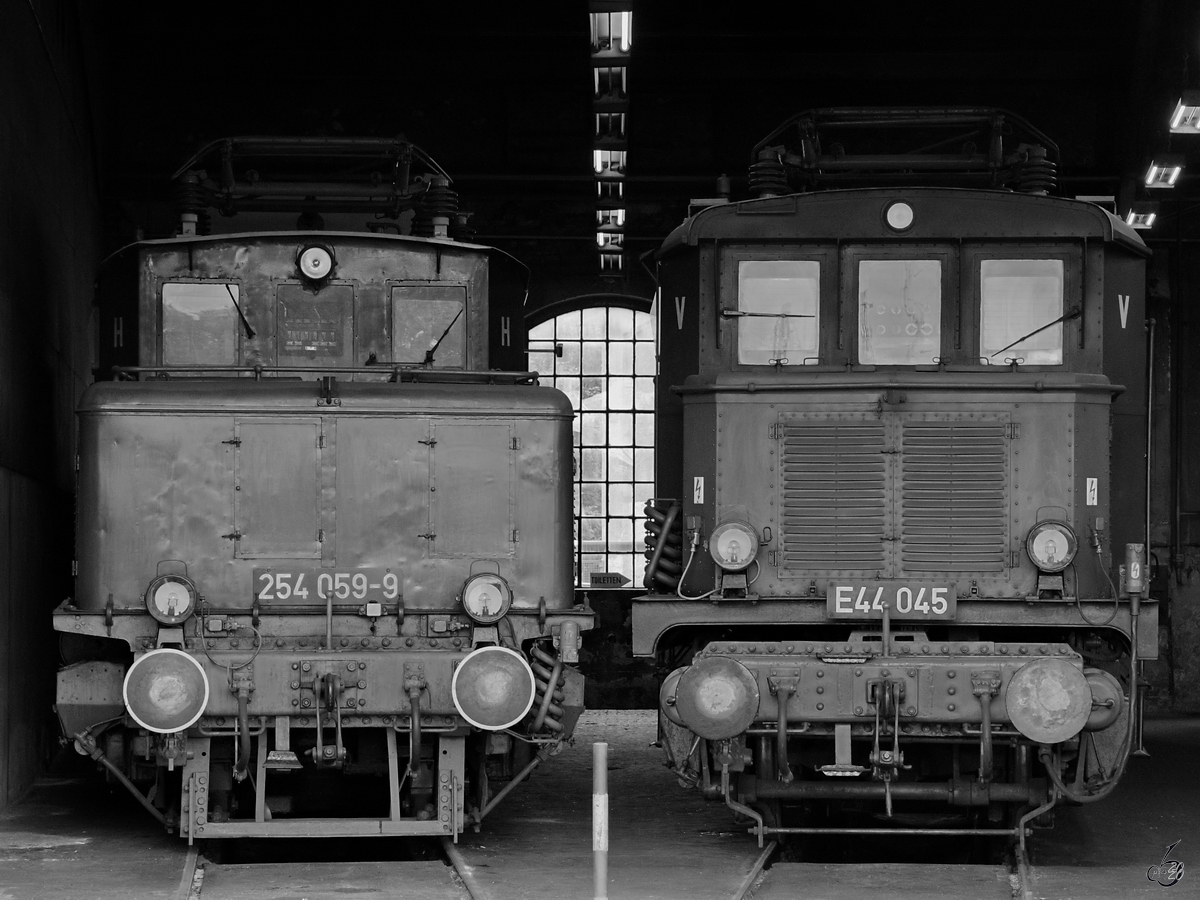 Seite an Seite sind hier die Elektrolokomotiven 254 059-9 & E44 045 zu sehen. (Sächsisches Eisenbahnmuseum Chemnitz-Hilbersdorf, September 2020) 