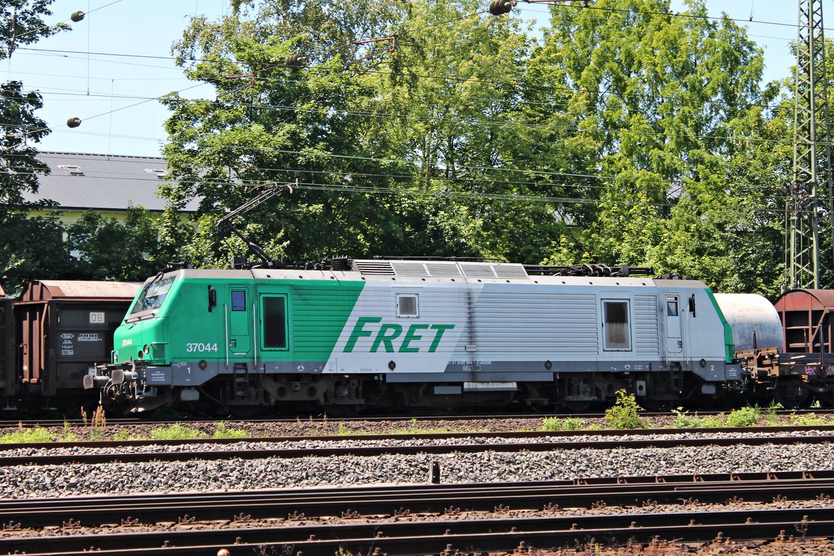 Seitenportrait von AKIEM/CFL Cargo S.A. BB 37044, welche am 14.06.2015 mit einem Rungenzug durch Koblenz Lützel gen Mosel fuhr. (Fotografiert vom Gelände des DB Museums)