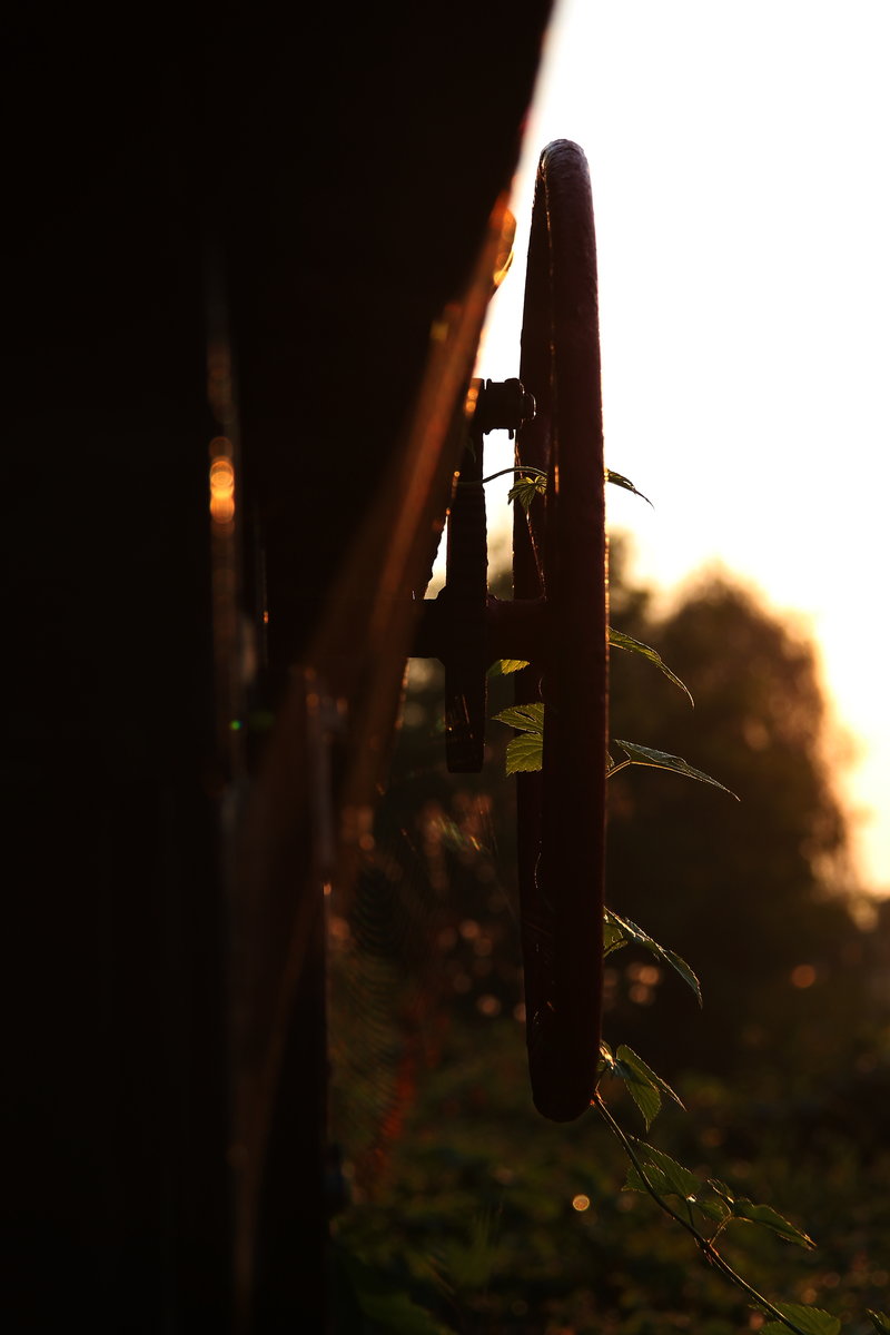 Selbst ITZI BITZI Spinne erfreut sich an dem stehenden Bahnwagerl auf dem Gesperrten Gleis in Deutschlandsberg. 9.09.2016