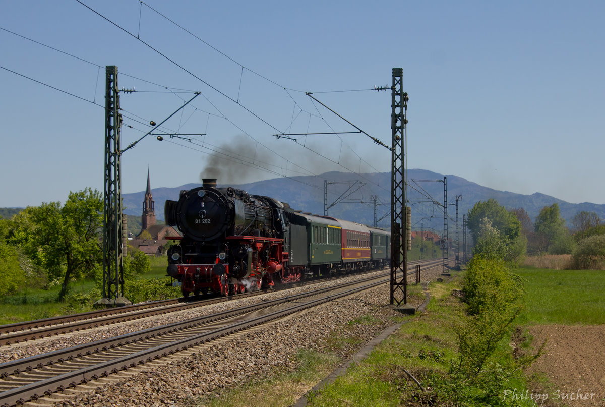 Selten verirrt sich einmal ein Dampfer auf die Rheintalbahn - an Christi Himmelfahrt, dem 05.05.2016, bespannte die schweizer 01 202 einen Sonderzug von Lyss (CH) über Basel nach Neustadt an der Weinstraße. Zwischen Köndringen und Riegel konnte der als DPE 5953 verkehrende Zug abgelichtet werden.