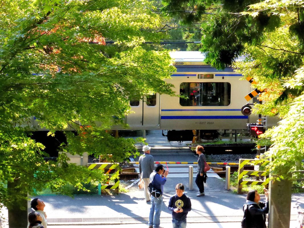 Serie 217 Eilzüge: Durchfahrt von Zug Nr. 11 in Kita Kamakura, vor dem Tempeltor des uralten Engakuji-Tempels. Im Bild die Mitte des motorlosen Wagens sahaE217-2022 (サハE217-2022), 28.Oktober 2013. YOKOSUKA-LINIE 