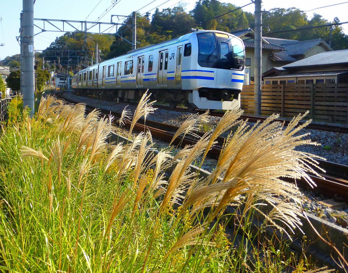 Serie 217 Eilzüge: Durchfahrt von Zug Nr. 4 (Frontwagen kuha217-4) in Kita Kamakura. 28.Oktober 2013. YOKOSUKA-LINIE 