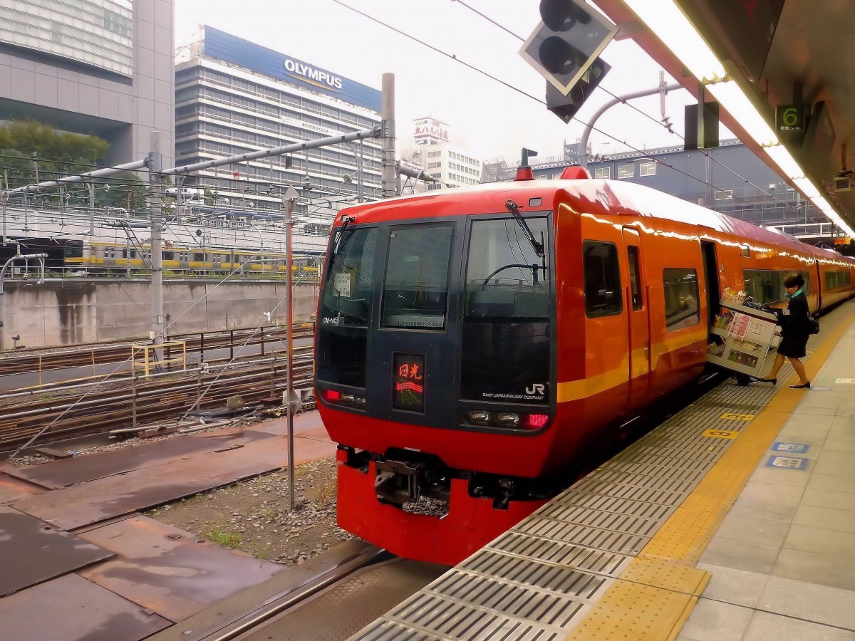 Serie 253-1000: Zug 253-1002 wird in Tokyo-Shinjuku für die Fahrt in die Bergstadt Nikkô bereitgestellt. 10.Oktober 2011.