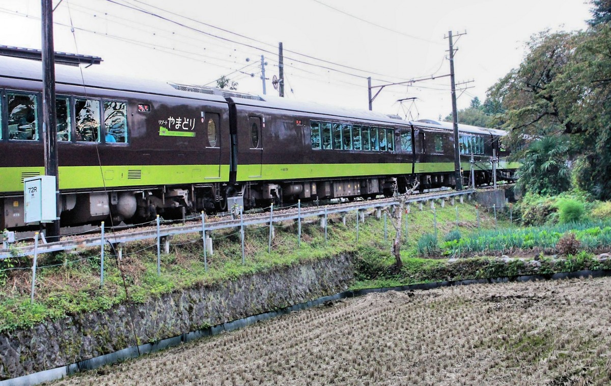Serie 485,  Joyful Train : Der zweite und dritte Wagen des Joyful Train  Resort Yamadori  in Mitsutôge, auf der Fuji Kyûkô-Privatbahn. 11.Oktober 2014. 