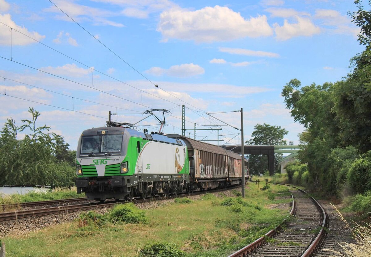 SETG 193 919 mit Habbins-Wagen Richtung Sangerhausen, am 02.07.2026 in Erfurt Ost. Standort ist der Bahn�bergang.