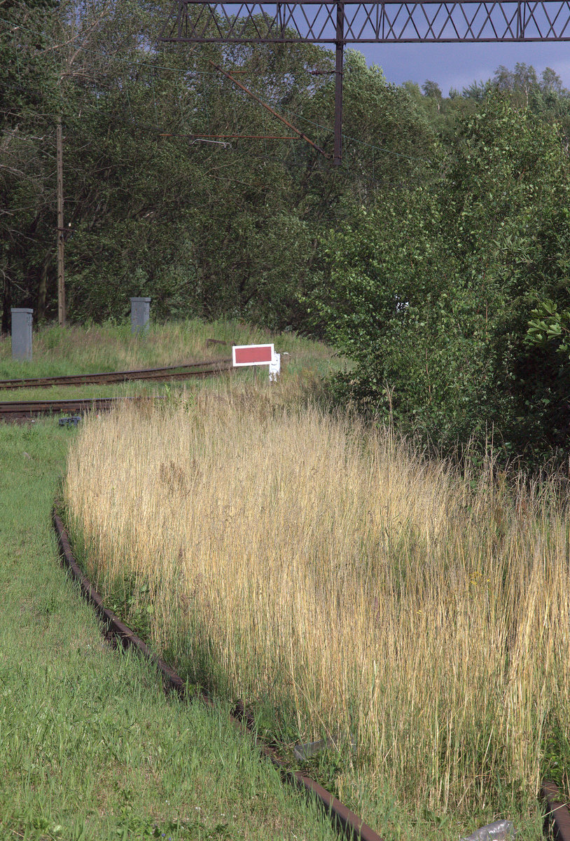 SH2 in Wegliniec.06.07.2016 17:08 Uhr.