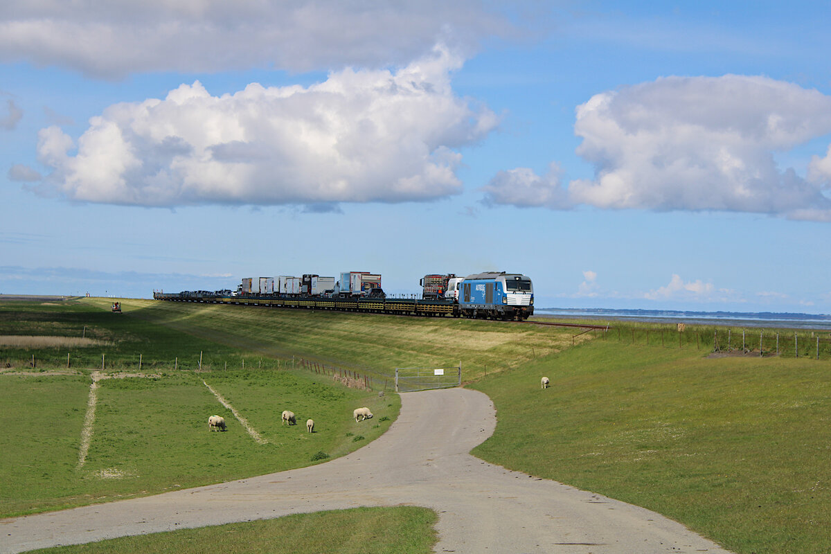 SIEAG 247 909  Anne  ist mit einem gut ausgelasteten  blauen Autozug  im Dienste der RDC Autozug GmbH auf der Marschbahn unterwegs. Hier verlässt der Zug gerade den Hindenburgdamm zur Fahrt nach Niebüll. (31.05.2022)
