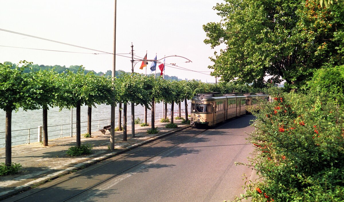 Siebengebirgsbahn__GT8, seit diesem Jahr als Linie 64 (zuvor'H') an der Rhein-Promenade in Königswinter.__26-09-1987 