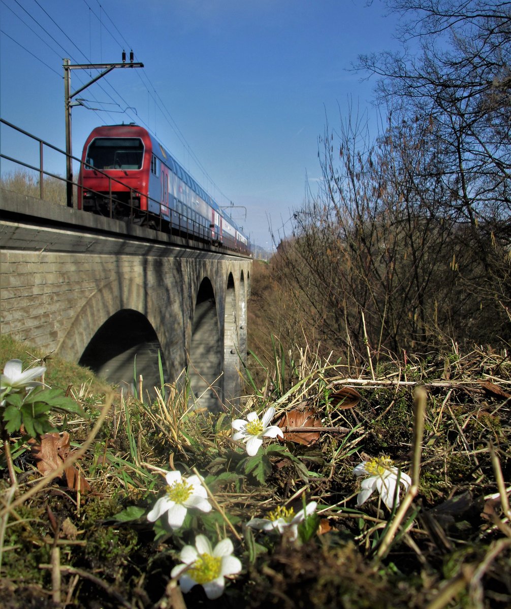 Sieht am ersten Blick für ein Frühlingsanfang Bild etwas gewöhnlich aus, aber ist es nicht: Es ist ein eher seltener Zug der in der Gegend -im Embrachertal sich blicken lässt. Sie fährt normalerweise NIE als S-Bahn oder Schnellzug auf der Bahntrecke Bülach-Winterthur, nur selten als Dienstzug. Im Bild durchquert ein 2-stöckiger SBB Re 450 am 15.3.17, um 15.15 Uhr als Dienstzug ohne Passagiere die 93 Meter lange Wildbachbrücke bei Embrach, welche 1950 durch einen Neubau ersetzt wurde. Der Dienstzug fuhr vom Bahnhof Bülach in den 1.8 km langen Dettenberg-Tunnel(1800 m), weiter durch den Bahnhof Embrach-Rorbas und weiter in Richtung Winterthur. Diese Strecke benützt hauptsächlich die S41 (Winterthur-Bülach(-Waldshut)), und sonst wenige Güterzüge, wie auch Dienstzüge.
