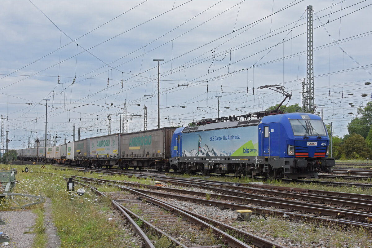 Siemens Vectron 193 497-5 durchfährt den badischen Bahnhof. Die Aufnahme stammt vom 29.07.2022.