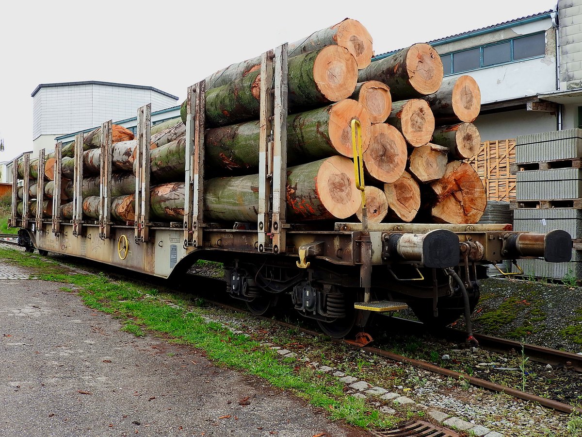Snps 31 56 4723 061-6 wartet am Bhf. Ried auf die Entladung vom Rundholz; 170404