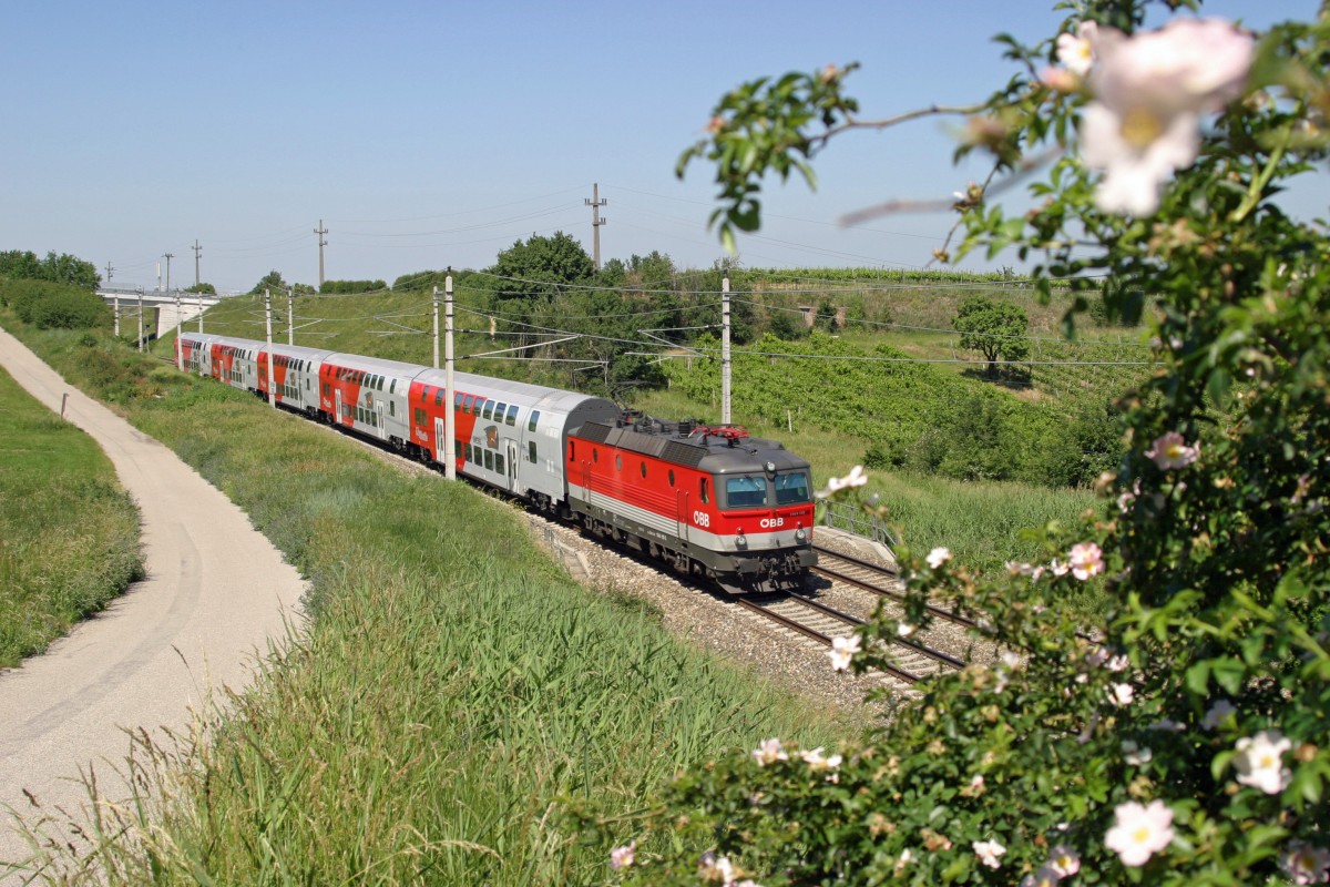 So schön kann Frühling sein! 1144.119 mit R-2241 bei Mödling am 5.6.15