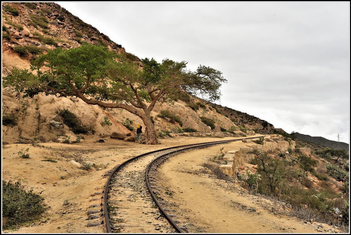 So sieht es meistens aus auf Eritreas Geleisen, wenn nicht ein Charterzug die Strecke bei Nefasit befährt. Dann dient der Schienenstrang als Fussweg für Mensch und Tier. (17.01.2019)