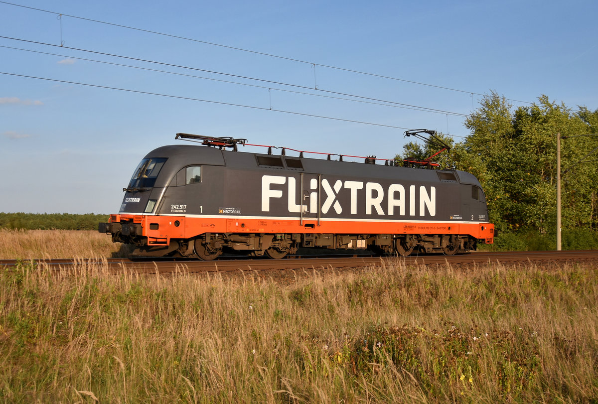 Solo und in voller Fahrt kam dieser Flixtrain opb. HectorRail 182 517-3  Fitzgerald  aus Richtung Hagenower Land. 3km östlich von Büchen, 19.09.2018.