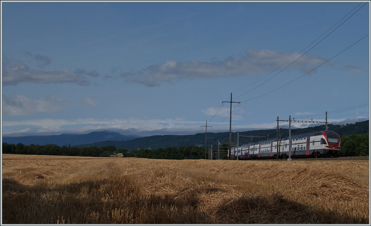 Sommer: Bei Allaman fährt ein SBB RABe 511 als RE Genève - Vevey Richtung Lausanne.
8. Juli 2015