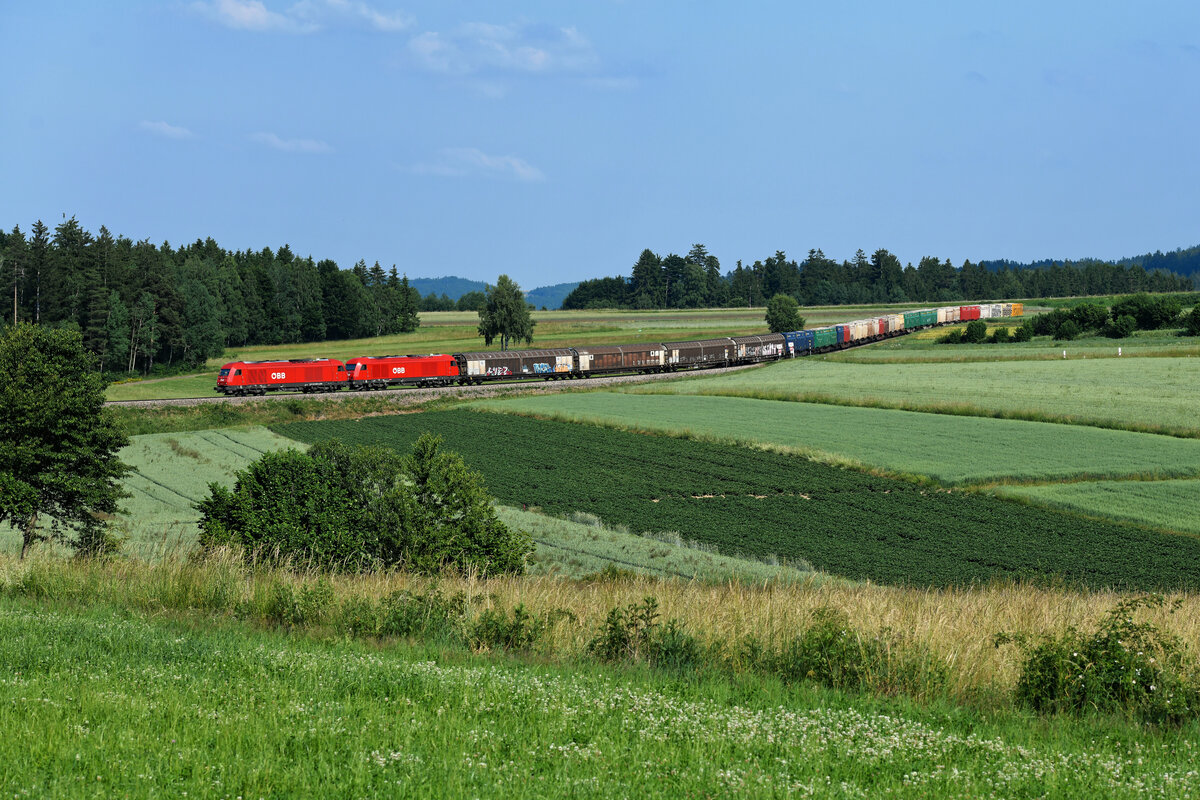 Sommer im Waldviertel. Bei Sprögnitz schlängeln sich die 2016.009 und eine weitere Lok dieser Baureihe mit dem letzten Zug des Tages aus Waldhausen durch die Felder, um kurz darauf in einem ausgedehnten Waldstück zu verschwinden. In den H-Wagen sind Holzplatten geladen, die bunten Innofreight-Container beinhalten Hackschnitzel. Letztere werden am Folgetag nach der Fahrt über den Semmering ein großes Sägewerk in St. Michael in der Steiermark erreichen. 