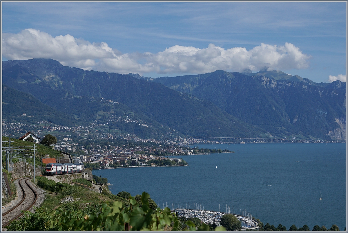 Sommerfahrplan 2018: Von Vevey kommend erklimmt der SBB RABe 511 116 auf der Fahrt von Genève nach Fribourg die steile Strecke des  Train des Vignes in den Weinbergsn des Lavaux. 
26. August 2018