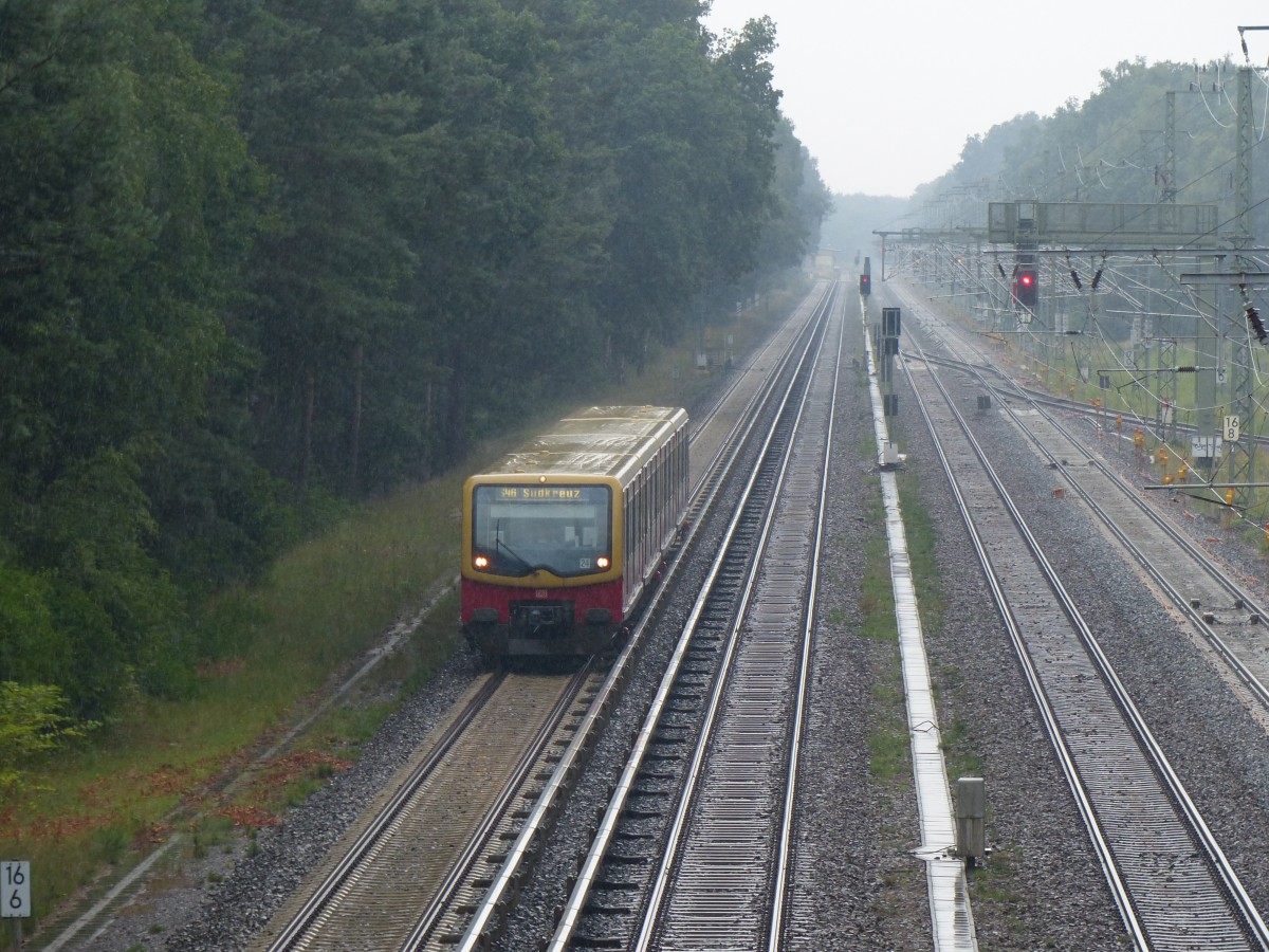 Sommerregen im Wald - das erfordert wetterfeste Kleidung oder einen fahrbaren Untersatz auf Schienen. Fußgängerbrücke zwischen Eichwalde und Grünau, 19.7.2015