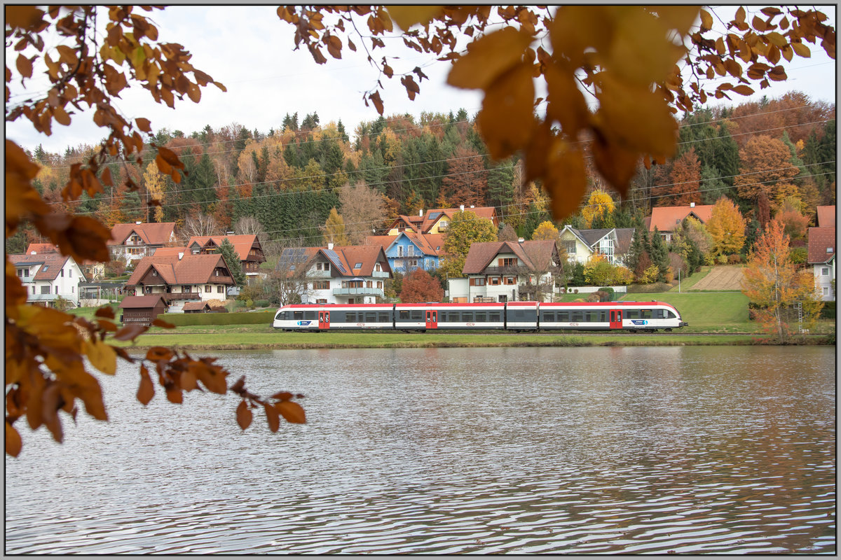 Spätherbst im Land ,.... 
An den Kresteichen vorbei rollt ein GTW 2/8 nach Deutschlandsberg . 
3.November 2020