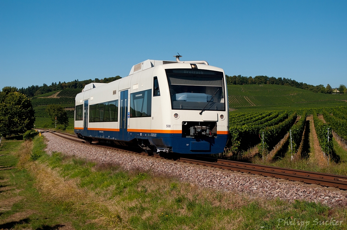 SPÄTSOMMER am KAISERSTUHL: SWEG VT 508 in den Weinbergen nahe Burkheim auf dem Weg nach Breisach. (04.09.2013)