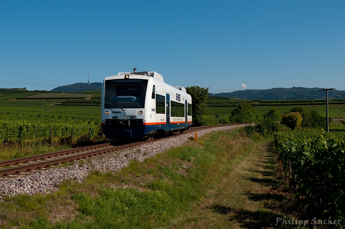 SPÄTSOMMER am KAISERSTUHL: SWEG VT 506 in den Weinbergen bei Burkheim. (04.09.2013)