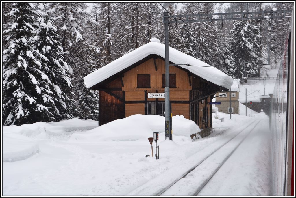 Spinas im Val Bever am südlichen Albulatunnelportal. (05.02.2014)