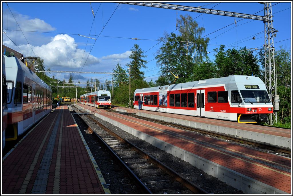Spinne in Starý Smokovec mit Zügen nach Tatranská-Lomnica, Štrbské Pleso und Poprad-Tatry. (04.06.2014)