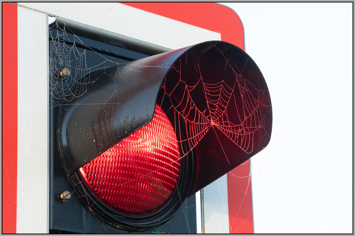 Spinnen die im Rotlicht arbeiten ,... 
6.11.2020