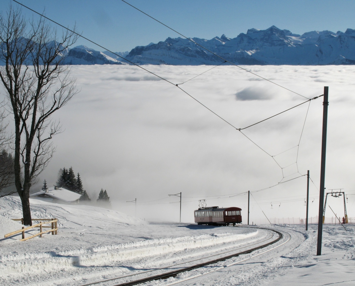 Sportzug Rigi  3. Januar 2009
