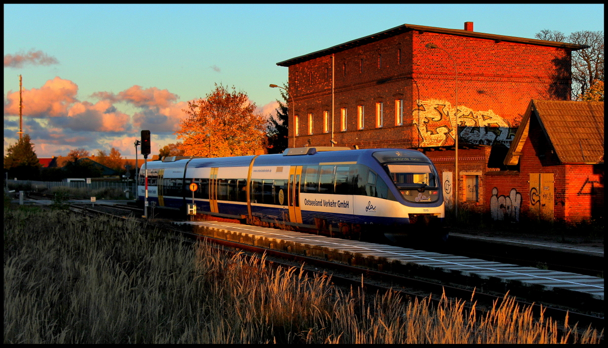 Spotlight für Ostseeland Verkehr GmbH VT 0010 im Bahnhof Torgelow am 18.10.2013. Knapp 2 Monate vor Betreiberwechsel!