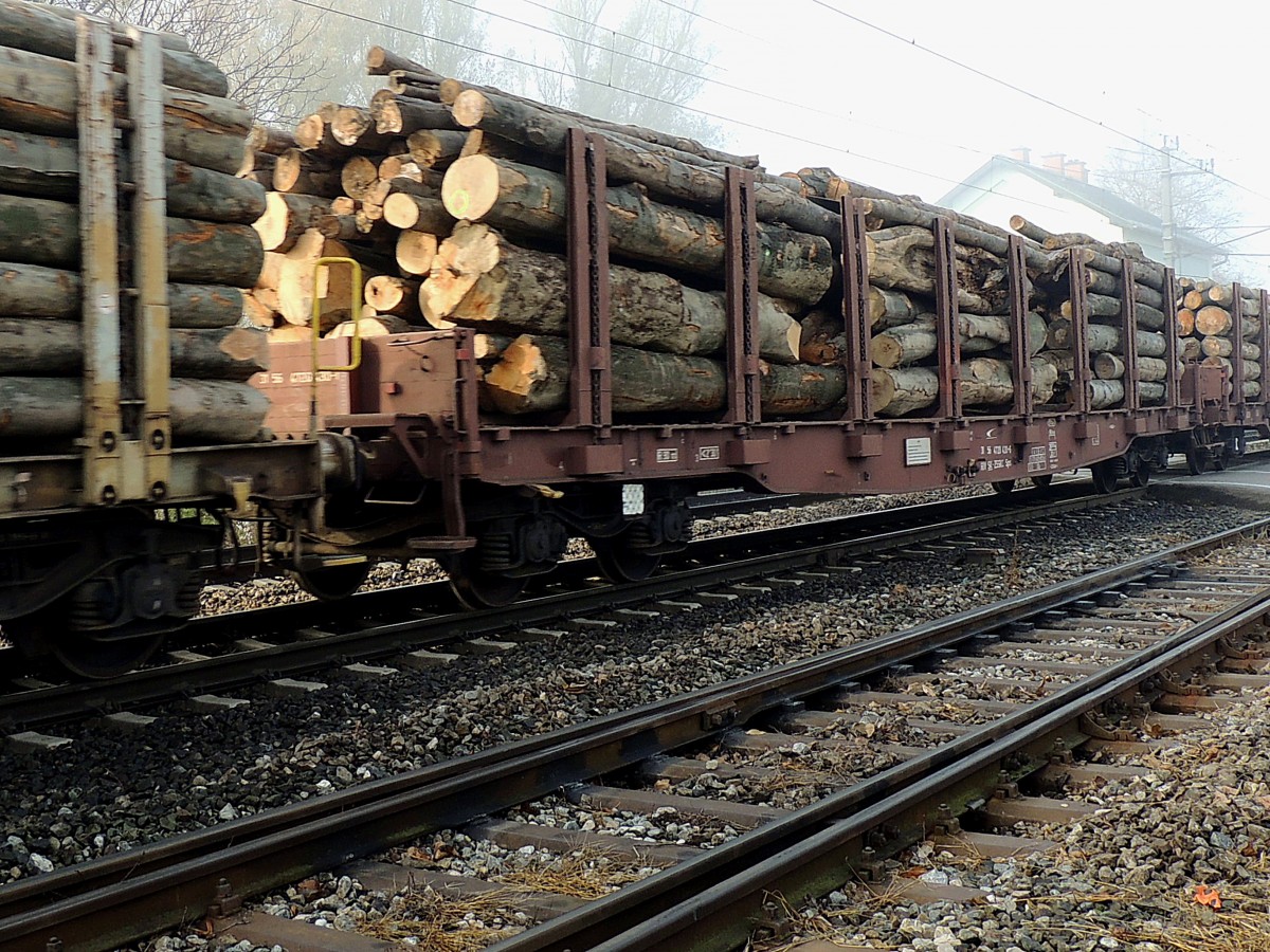 Sps 3156(SK-ZSSK)4729430-6  mit Rundholz beladen, bei Bruck a. d.Leitha Richtung Wien; 121114