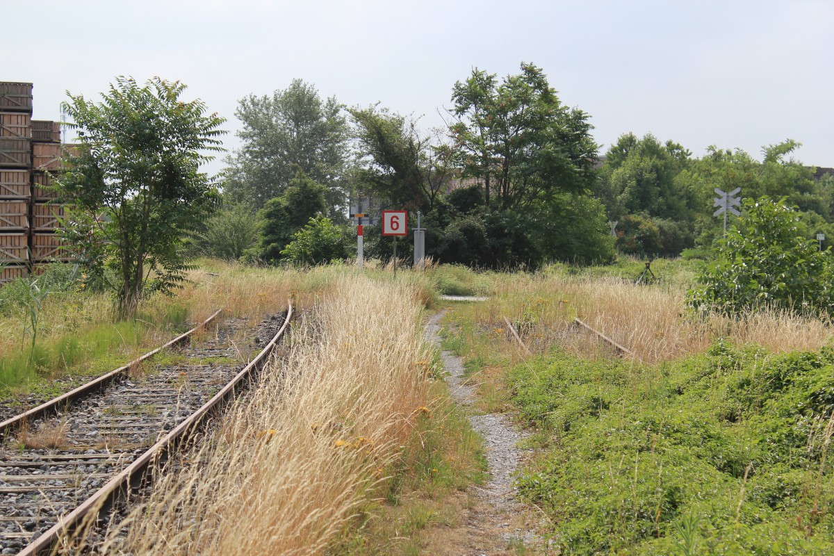 Spurensuche an der Lokalbahn Siebenbrunn-Engelhartstetten, kurz nach dem Bahnhof Breitstetten (Km 7,5), zweigt eine Nebenstrecke der Bahn nach Orth an der Donau ab, hier rechts im Bild (Bahnverkehr 1998 eingestellt), das linke Gleis fhrt weiter nach Engelhartstetten (Bahnverkehr 2003 einstellt), aufgenommen im Juli 2012 