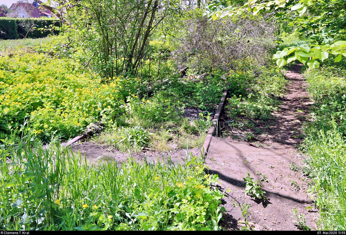 Spurensuche unweit der Haustür:
Die ehemalige Zementfabrik in Halle-Nietleben besaß einen Eisenbahnanschluss über die nun stillgelegte Bahnstrecke Halle Klaustor–Hettstedt (Halle-Hettstedter Eisenbahn (HHE) | 6800), ausgehend vom Bahnhof Halle-Nietleben. Dieser diente v.a. dem Transport von Braunkohle aus der Grube Neuglück (heutiger Heidesee), um den Betrieb der Zementfabrik zu gewährleisten.
Mit der Einstellung der Zementproduktion im Jahr 1973 verlor auch die Anschlussbahn ihre Bedeutung. Einzelne Gleisabschnitte bzw. Relikte sind heute noch vorhanden.

Nahe der Berghalde gibt es einen Trampelpfad über die Schienen, um schneller zum Heidesee zu gelangen.
Der weitere Verlauf der Trasse bis zum Bahnhof Nietleben ist ab hier schwer nachzuverfolgen, da das Gleis abgetragen bzw. überbaut wurde. Daher ist es mein letztes Foto dieser kleinen Serie.
[7.5.2020 | 12:55 Uhr]

Weitere Informationen zum Zementwerk:
http://www.nietlebener-heimatverein.de/pool/20110313_sn_Zement_kam_einst_aus_Nietleben.pdf