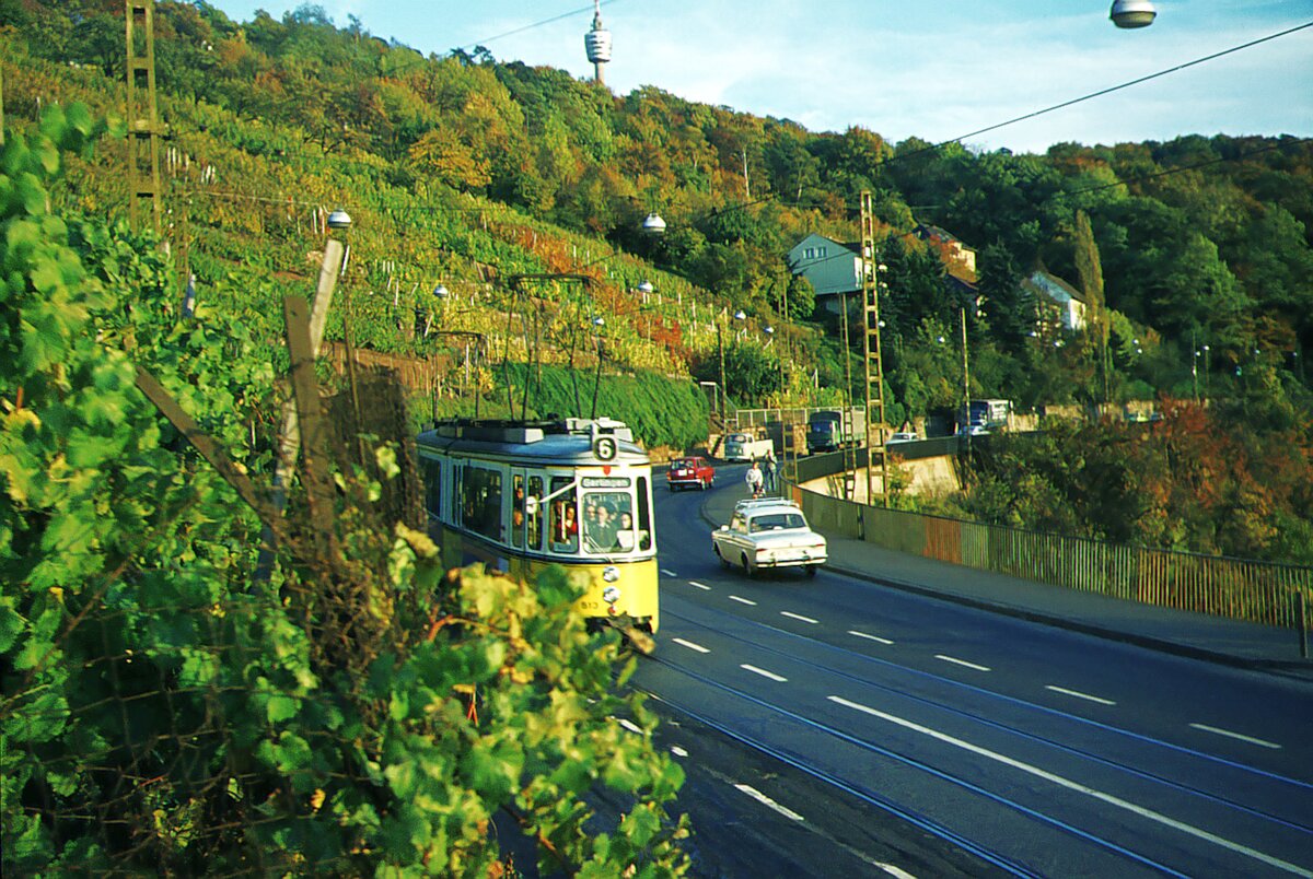 SSB Stuttgart__Verschwundene Strecken__Linie 6 mit GT4 503 in den Weinbergen zwischen Haltestellen 'Altenbergstaffel' und 'Haus 61' auf Talfahrt.__10-1971