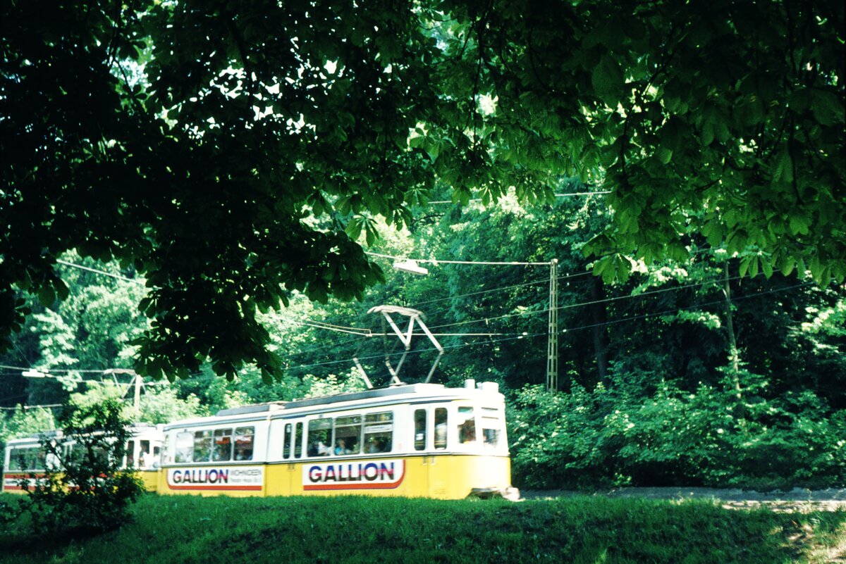 SSB Stuttgart__Verschwundene Strecken__Viel Grün und leuchtendes Gelb. GT4-Zug fährt auf der Neuen Weinsteige bergauf.__06-1974