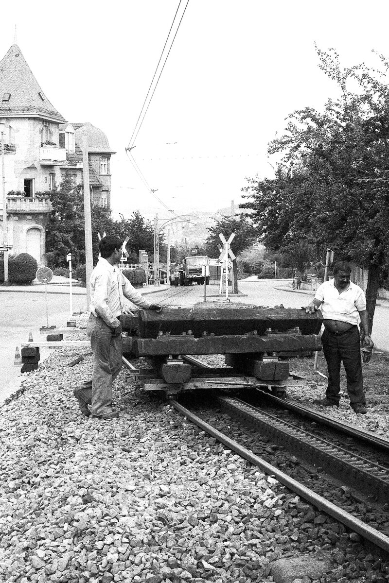 SSB Stuttgart__Zahnradbahn__Juli und August 1980 wurde die Bahntrasse für die neuen ZT4 Tw modernisiert. An der Rampe zur Brücke über die Obere Weinsteige wird von der Straße 'Kauzenhecke' eine Fuhre mit neuen Holzschwellen aufwärts gezogen.__08-1980 
