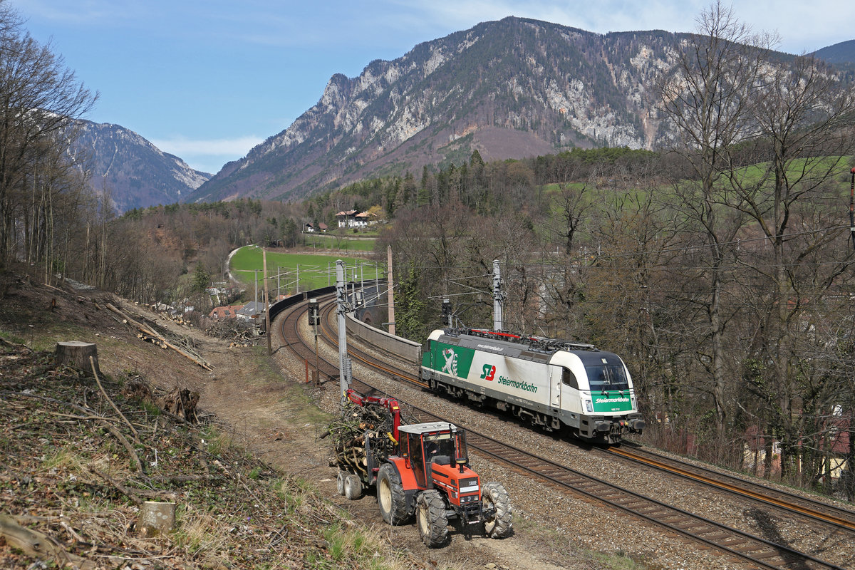 STB 183.717 fährt als Prob-LZ beim frisch ausgeschnittenen Schwarzatal-Viadukt,während der Traktor die gefällten Bäume abtransportiert. 7.4.18