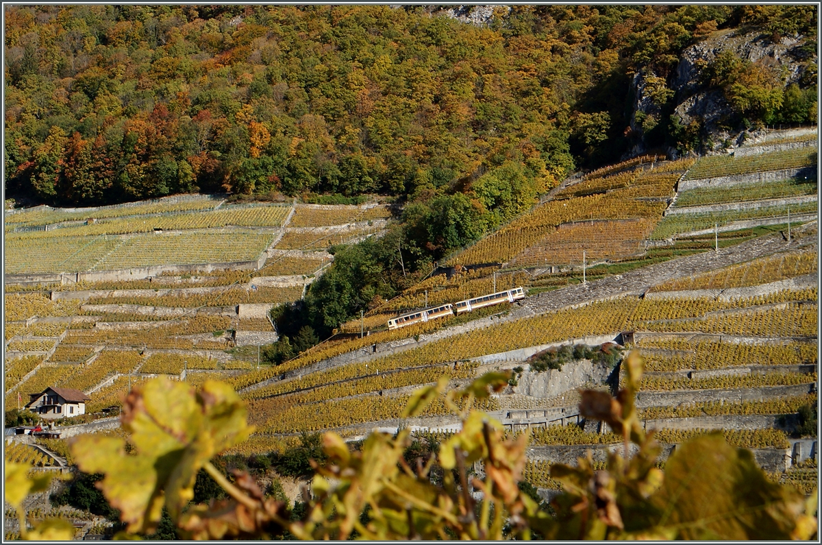 Steil berauf fährt der A-L Zug vom Rohnetal Richtung Leysin.
Bei Aigle, den 3. Nov. 2014