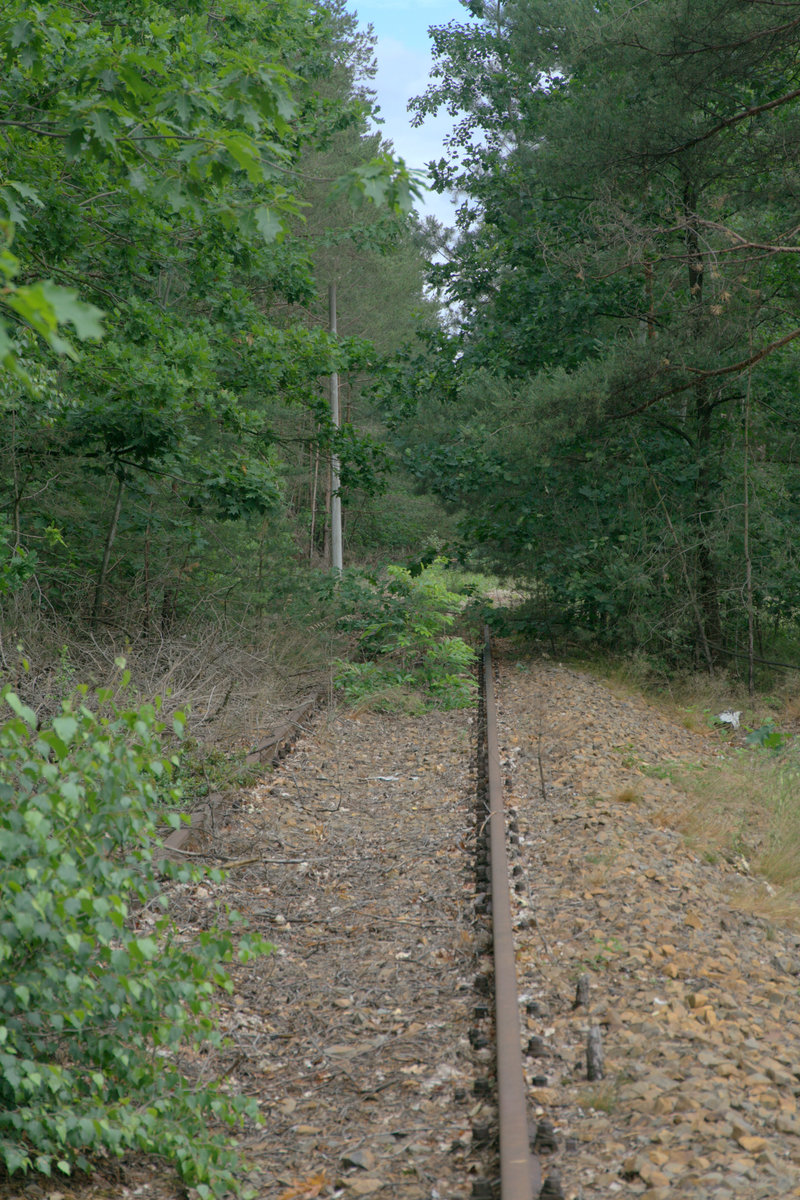 Stillgelegte Werksbahn von Hosena zur Grube des Steinbruchs Koschenberg   20.06.2020 11:14 Uhr.