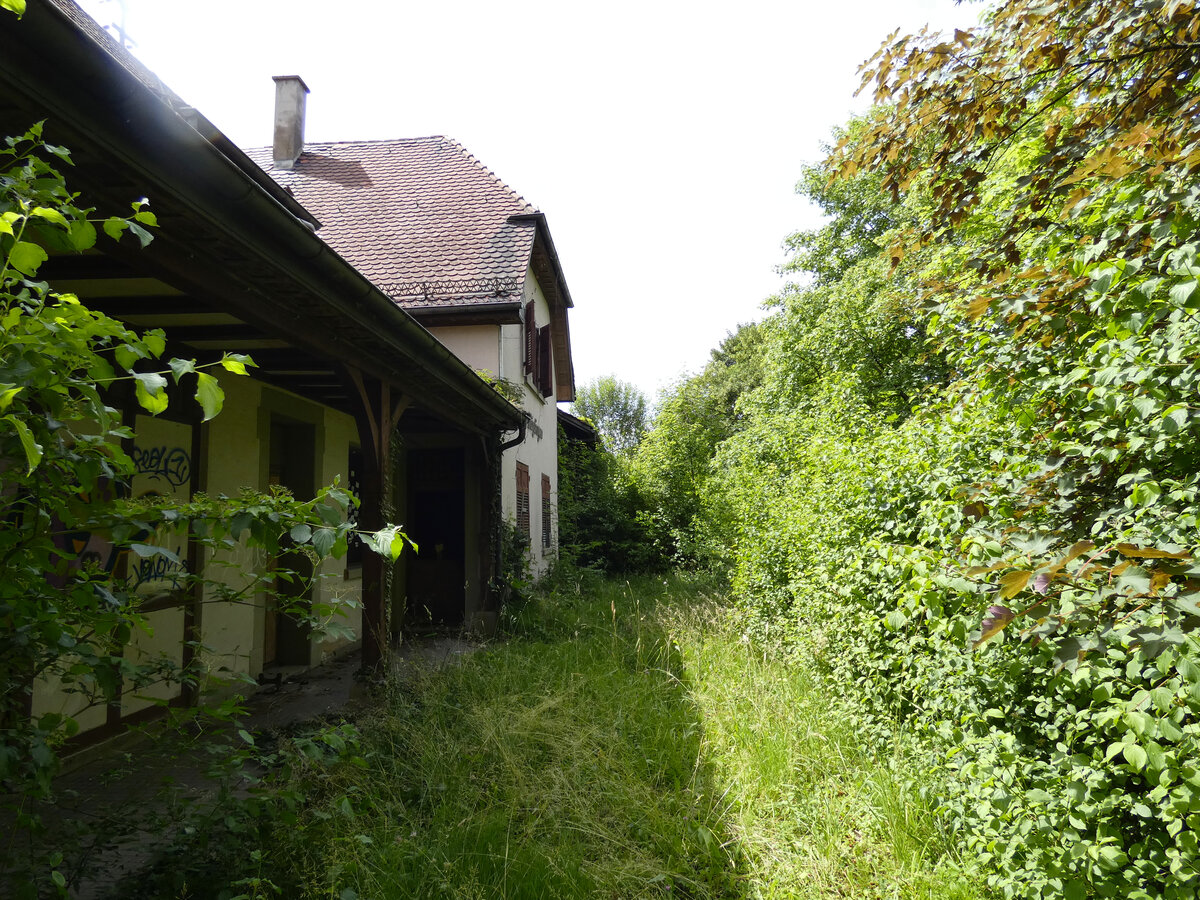 Stillgelegter DB-Bahnhof M�glingen von der Gleisseite aus fotografiert.
Datum: 10.06.2026