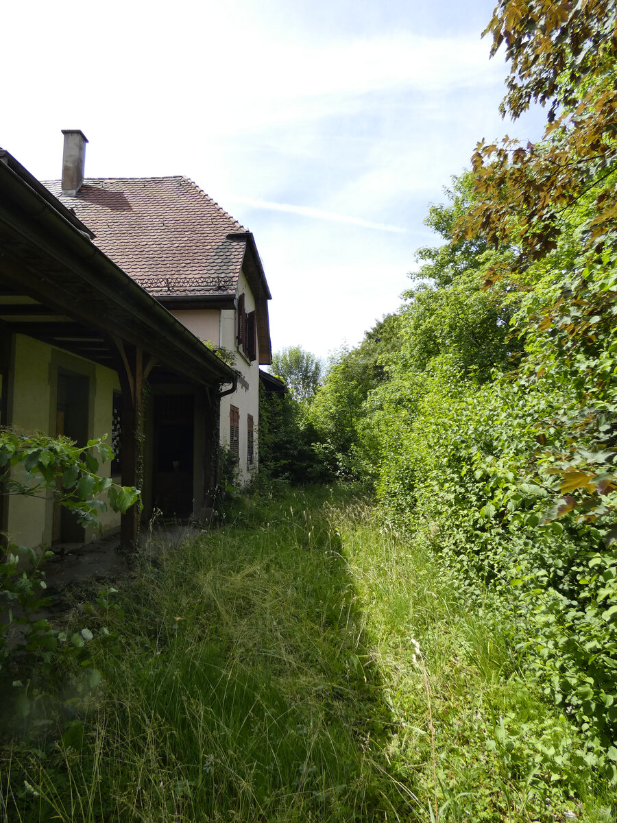 Stillgelegter DB-Bahnhof M�glingen von der Gleisseite fotografiert.
Datum: 10.06.2026
