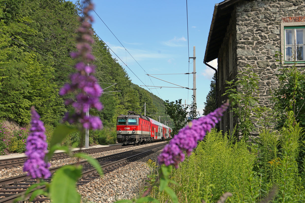 Stimmungsfoto bei Payerbach mit 1144.098 und einen Reg. am 29.7.17